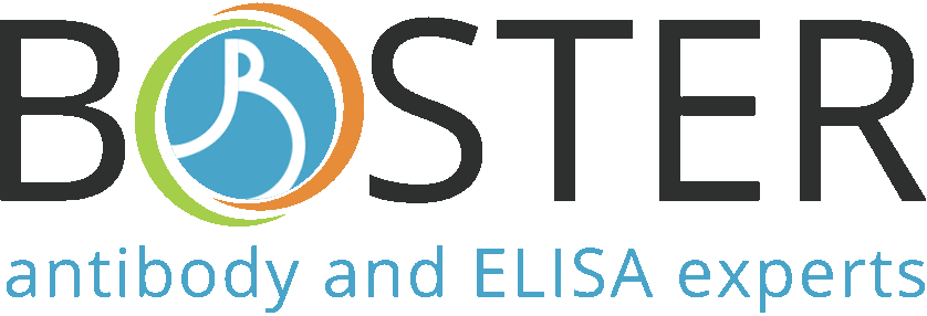 Boster Bio